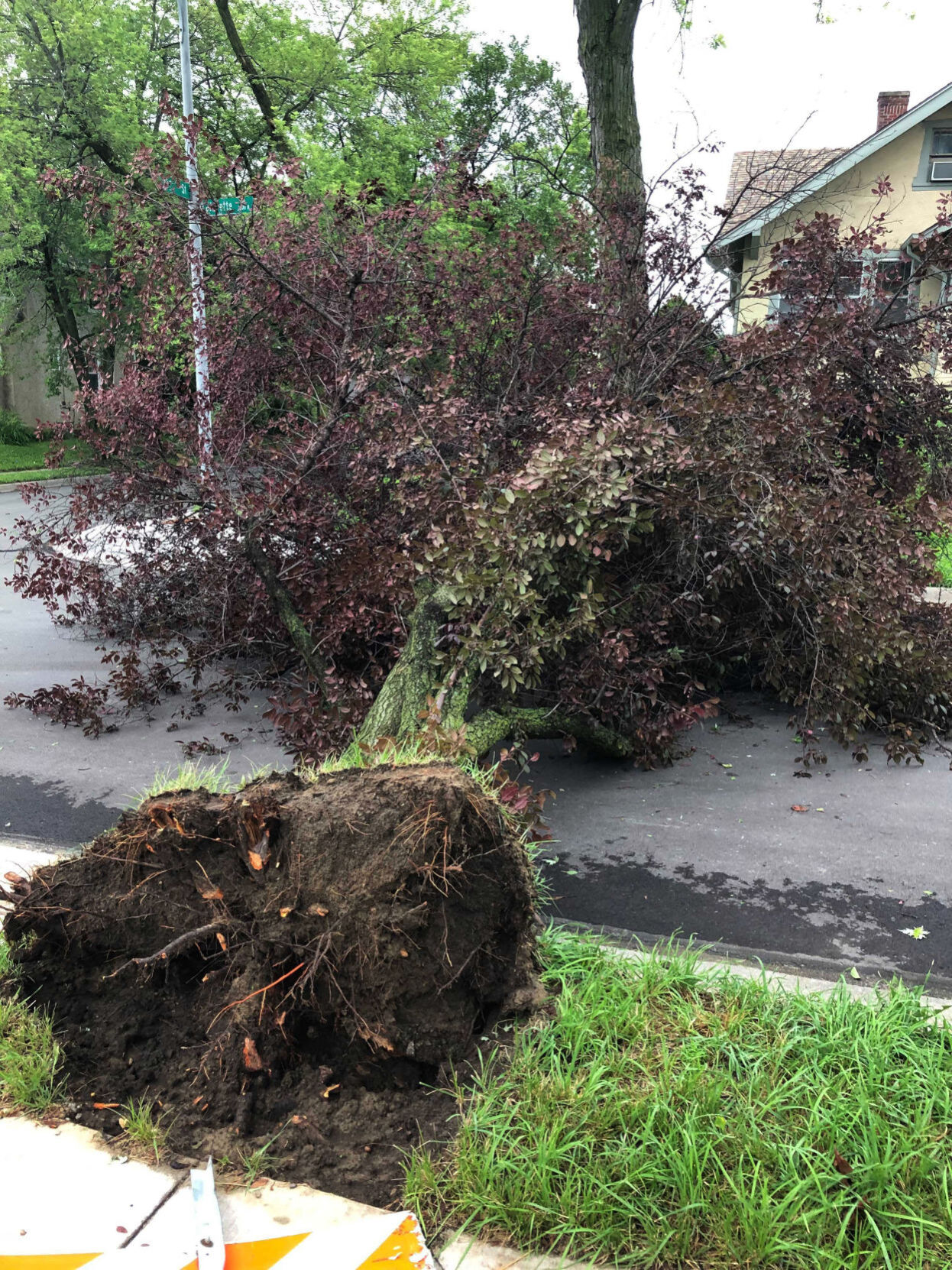 071121-owh-new-stormdamage-pic-AR004.jpg